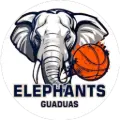 Club Elephants
